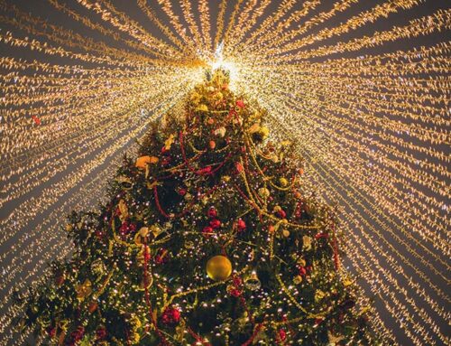 Perché facciamo l’albero di Natale?