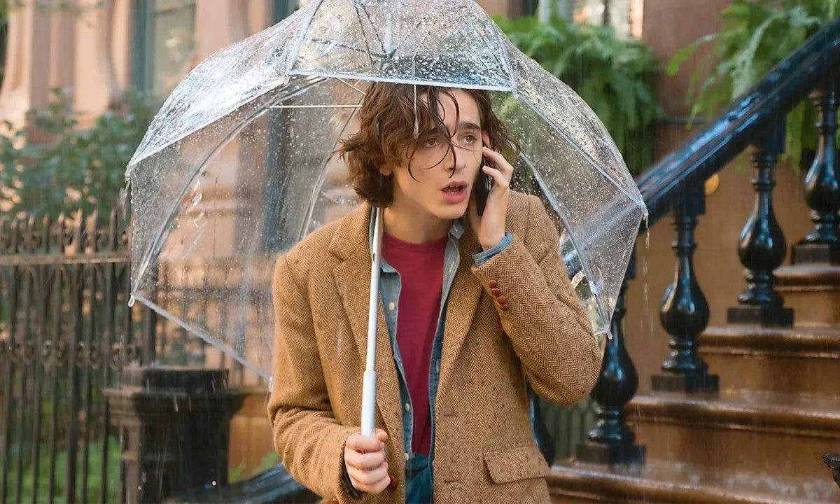 Un giorno di pioggia a New York film autunno timothee chalamet