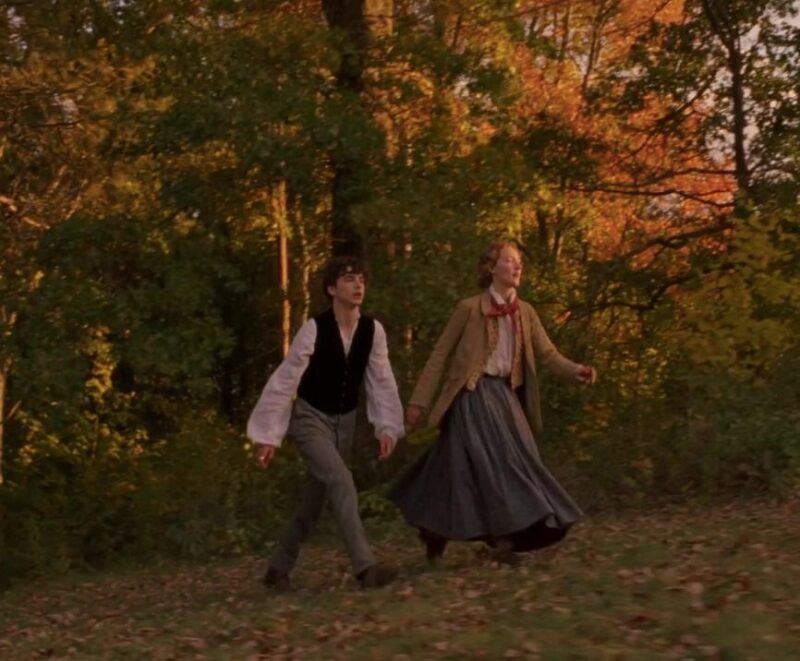 piccole donne film timothee chalamet