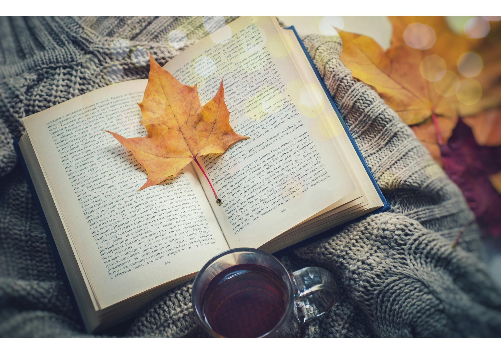 Libro aperto con foglia autunnale e tazza di tè su maglione di lana, simbolo di relax e casa accogliente in autunno.